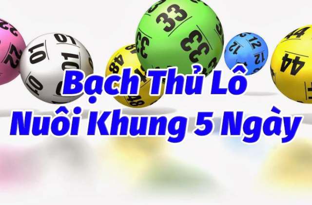 Bạch thủ lô khung 5 ngày Bạch thủ lô khung 5 ngày