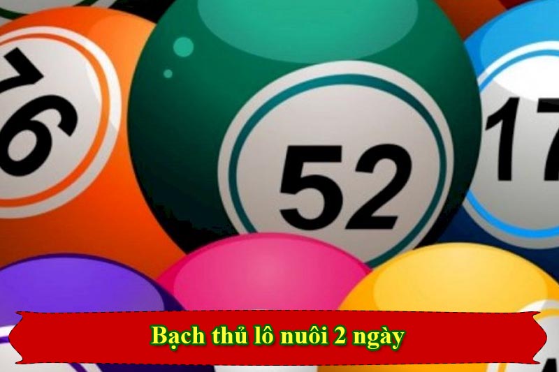 Ưu điểm của bạch thủ lô nuôi khung 2 ngày Ưu điểm của bạch thủ lô nuôi khung 2 ngày
