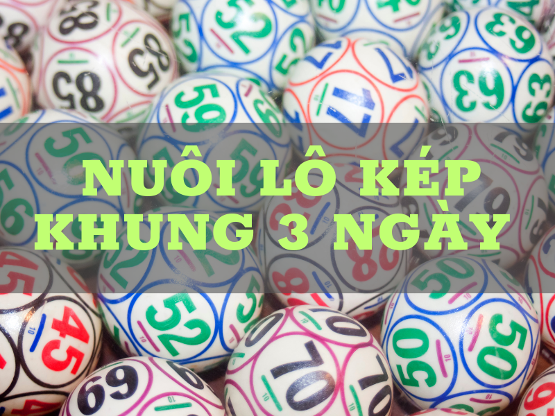 Nuôi lô kép khung 3 ngày Nuôi lô kép khung 3 ngày