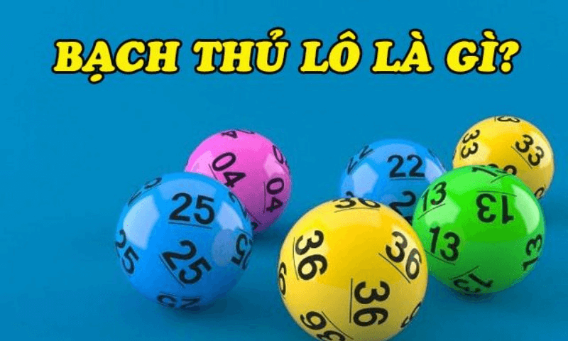 Bạch thủ lô kép là gì? Bạch thủ lô kép là gì?
